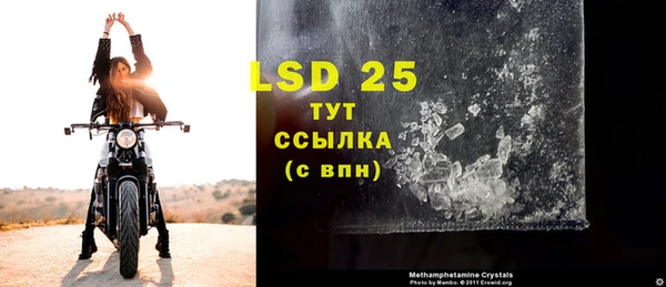 PSILOCYBIN Кулебаки