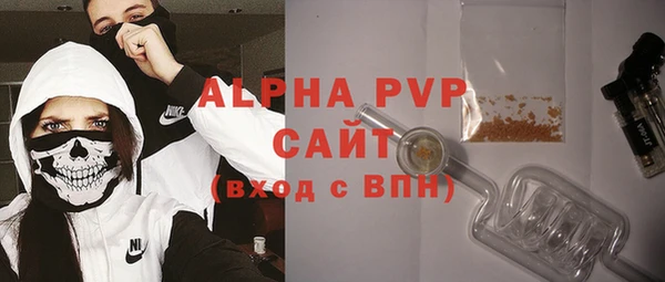 PSILOCYBIN Кулебаки