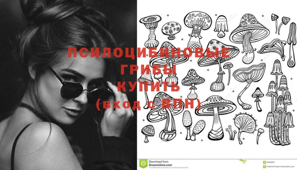 PSILOCYBIN Кулебаки