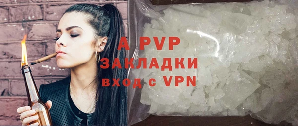 PSILOCYBIN Кулебаки